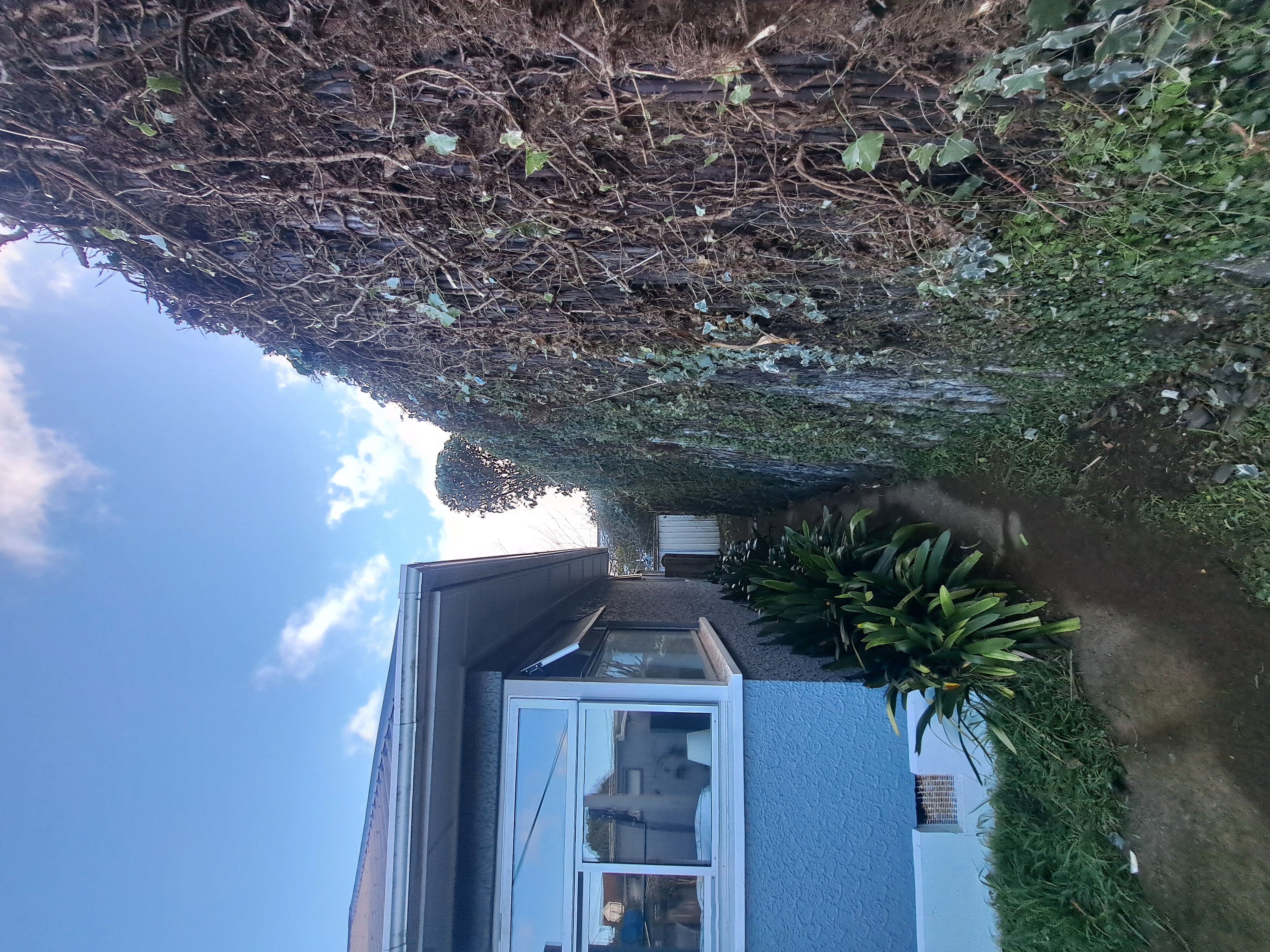 Description of after photo 1