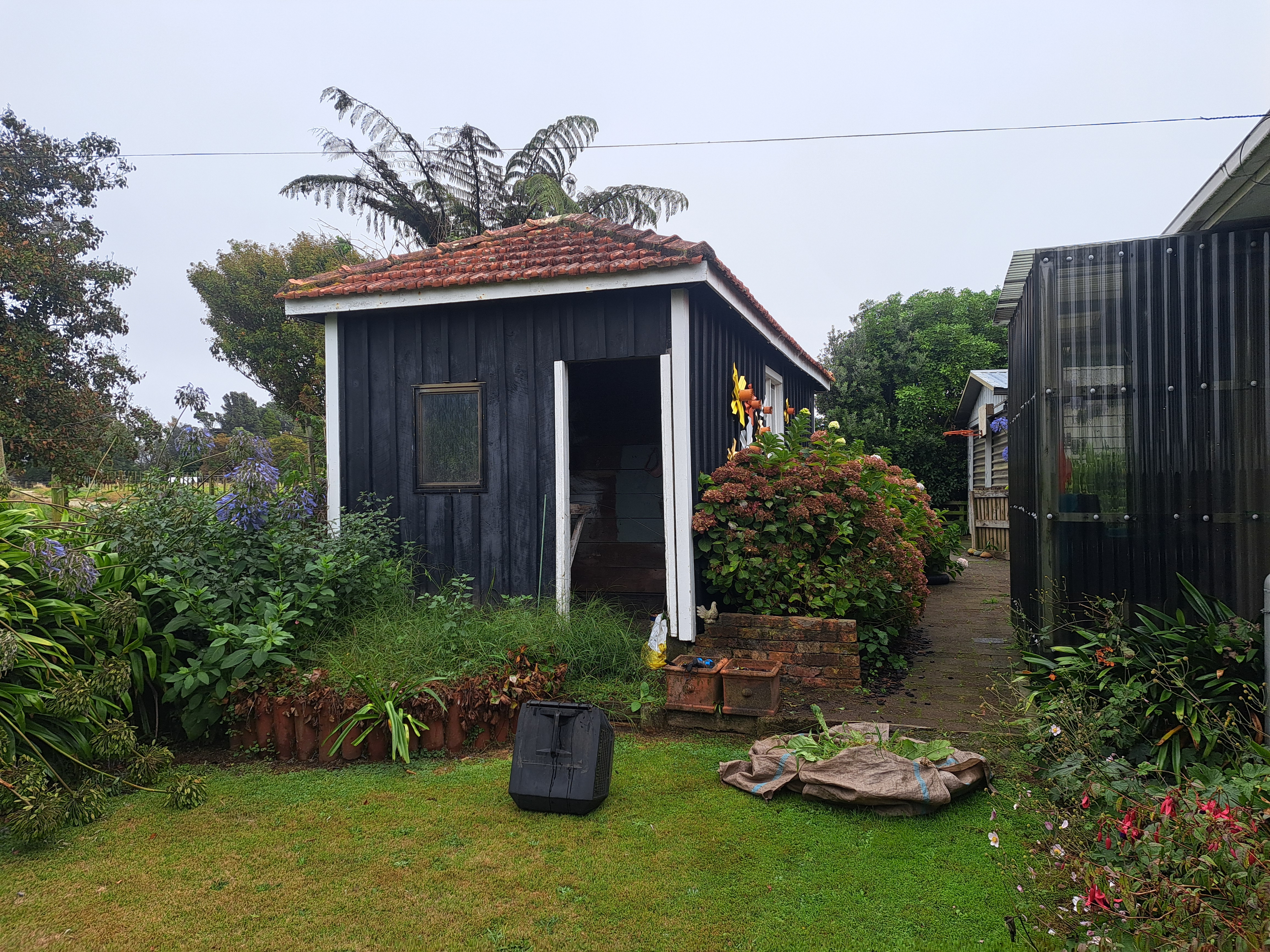 Description of before photo 2