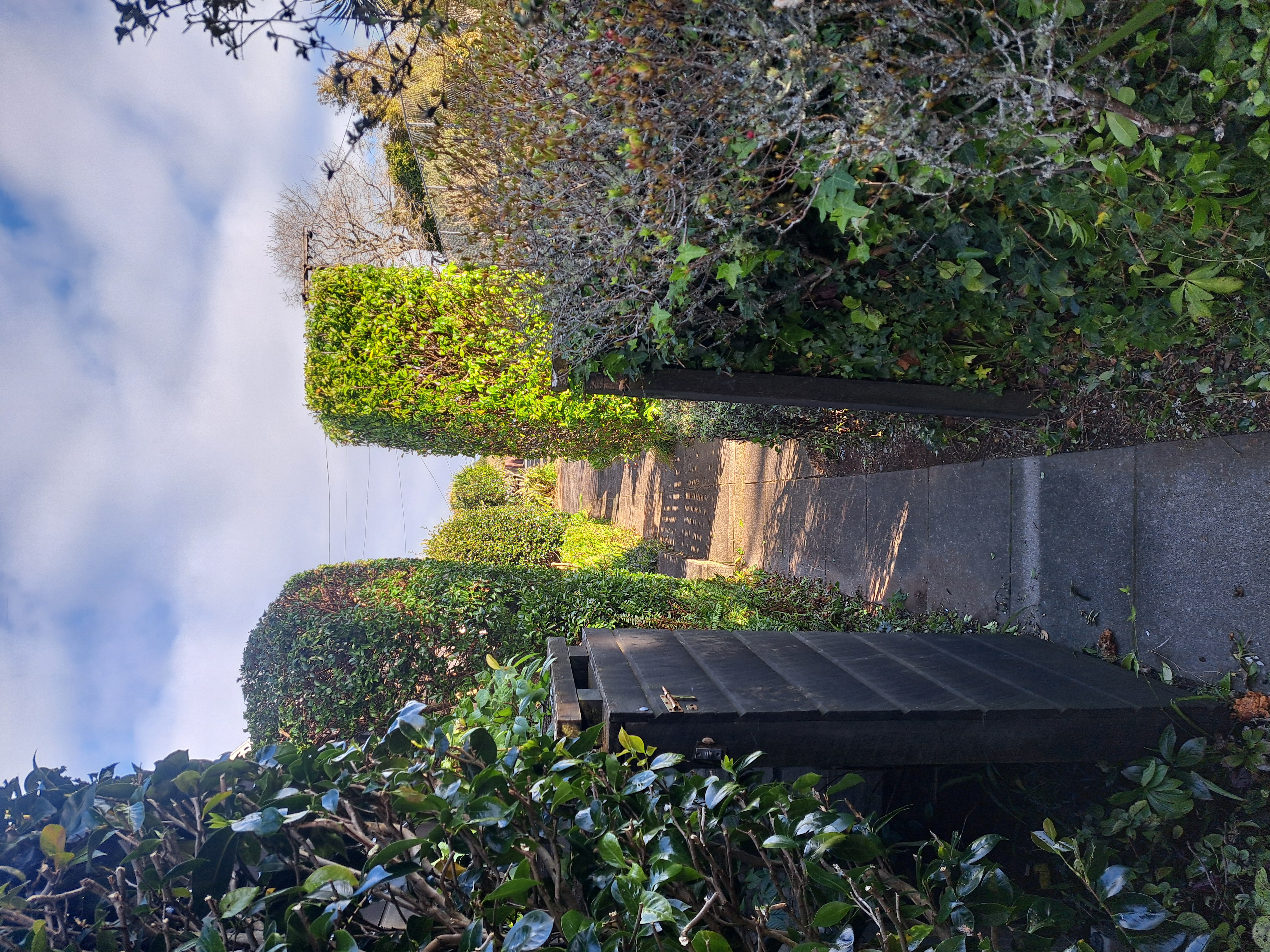 Beautifully manicured garden after landscaping